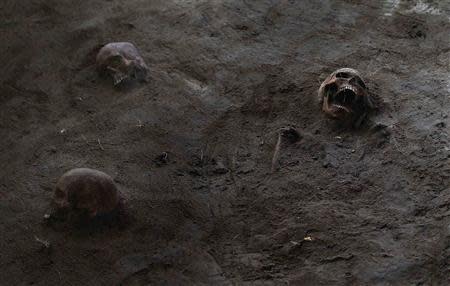 Human skulls are seen at a construction site in the former war zone in Mannar, about 327 km (203 miles) from the capital Colombo, January 16, 2014. REUTERS/Dinuka Liyanawatte