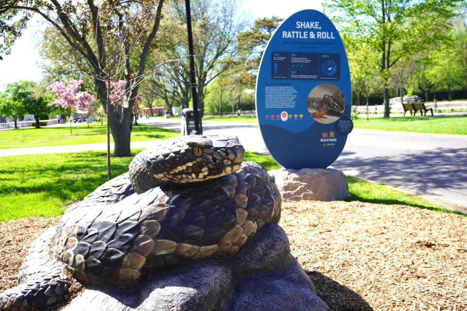 Twelve new sculptures from the Wildlife Rescue exhibition, including one of an eastern Massasauga rattlesnake, will be at the Detroit Zoo in Royal Oak through September.