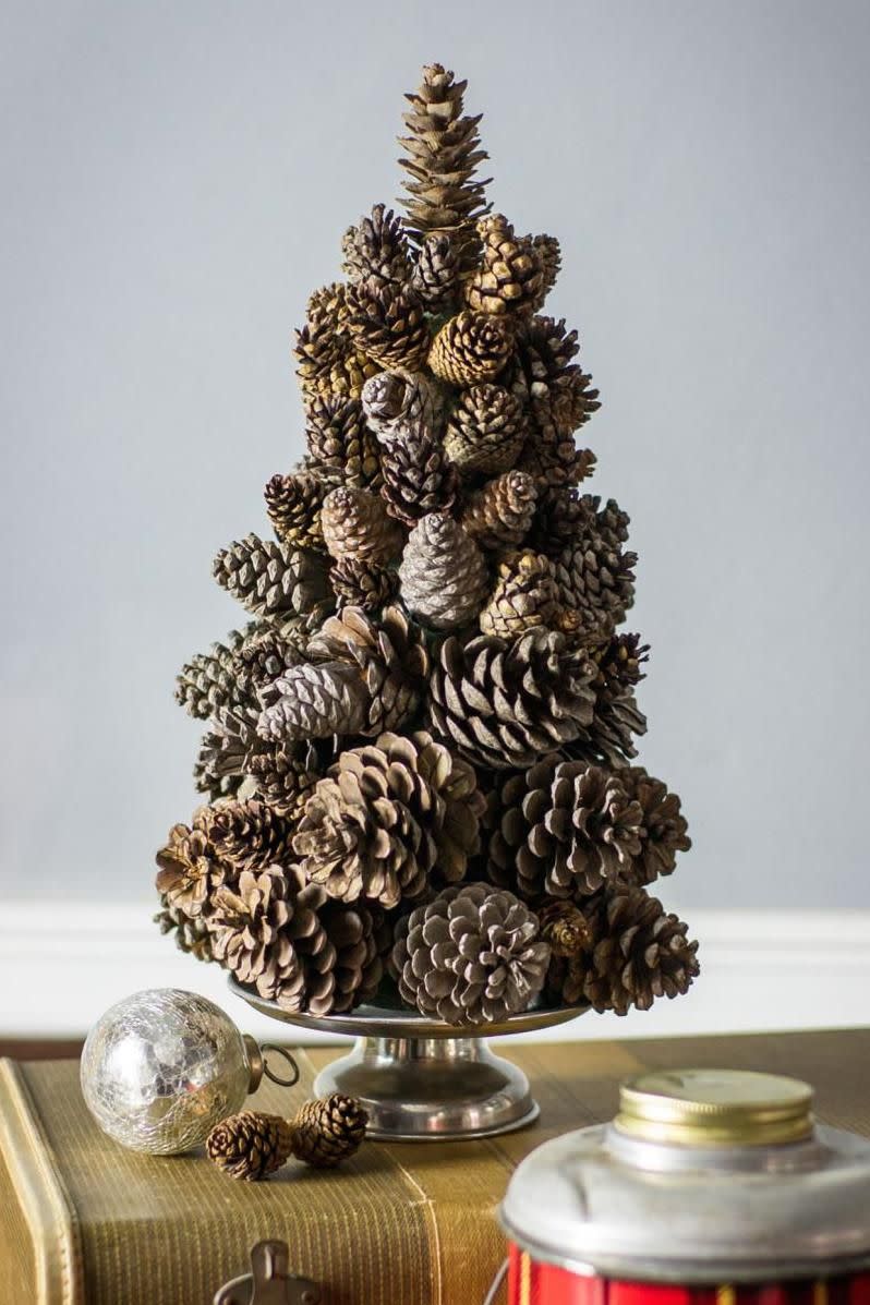 Pinecone Tree