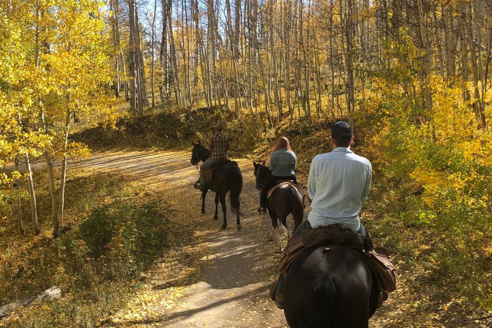 Horseback riding with Thunder Horse Outfitters