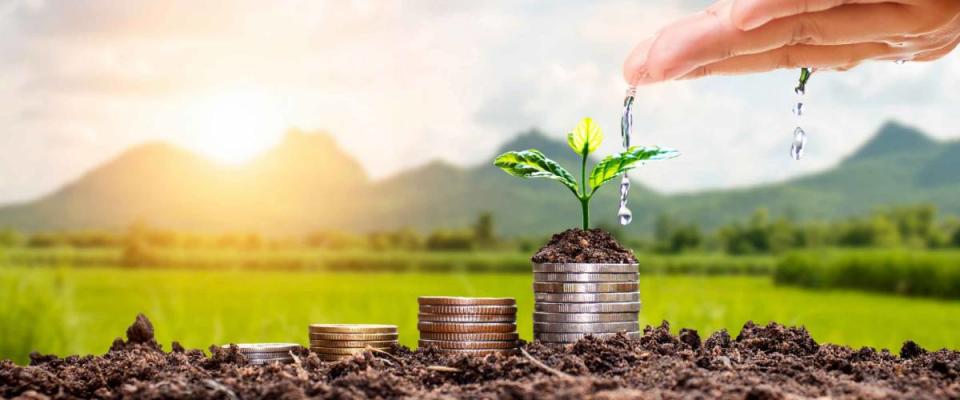 Farmers' hands are watering trees on top of coins stacked on a blurred natural background and natural light with financial growth ideas.