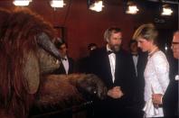 <p>Princess Diana met Ludo, a Hollywood star with far more fur than she's probably used t0, at the premiere of <em>Labyrinth </em>in London. </p>