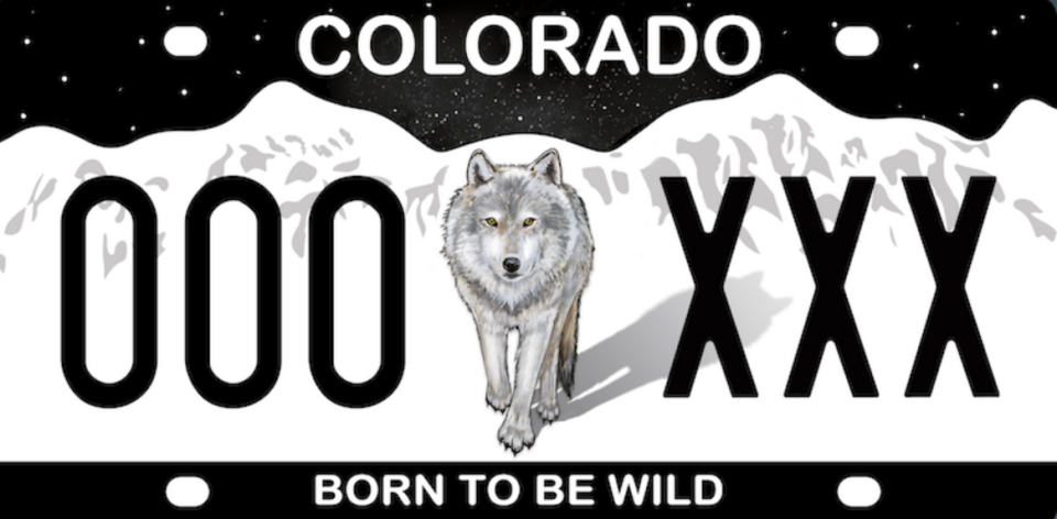 Colorado Born to be Wild license plate