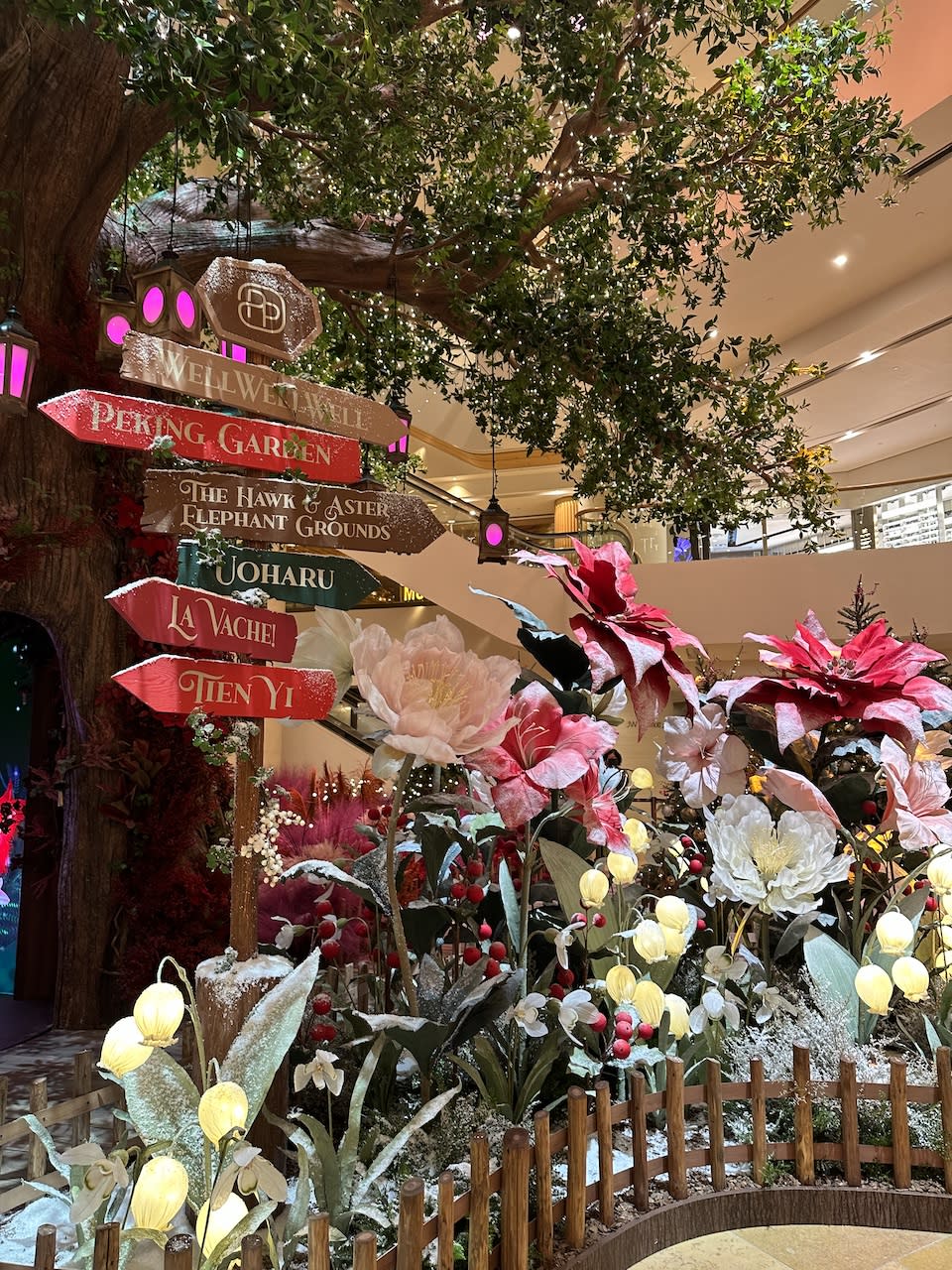 Great place for Christmas 2023｜Enchanted Forest Lights are coming to Pacific Place in Admiralty!Fairy tale elves celebrate with everyone and take photos with Santa Claus