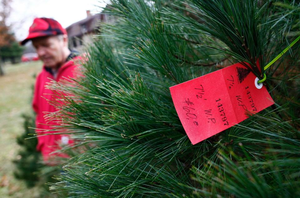 A white pine Christmas tree is tagged for sale at Country Cabin Tree Farm in Sunbury in 2018.