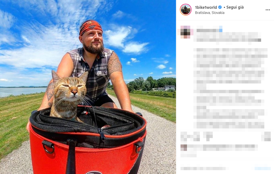 Nala, così Dean ha deciso di chiamare la gattina abbandonata diventata sua compagna di viaggio, ha girato il mondo dentro il cestino della bicicletta. La coppia ha percorso insieme più di 16mila chilometri con Nala che si è avventurata in funivia e si è persino divertita a fare kayak.