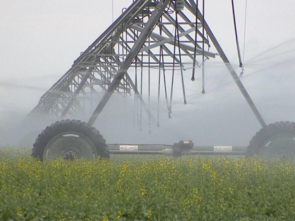 As the Lake Diefenbaker irrigation project continues, some hope the province will pick up the pace, while others think better consultation and research are needed. (Don Somers/CBC - image credit)