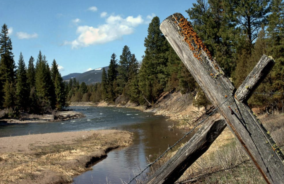 This photo, shows Jacobsen Creek, a tributary of the North Fork of the Blackfoot River near Ovando, where a grizzly bear attacked and killed a person who was camping. Source: Jennifer Michaelis/The Missoulian via AP
