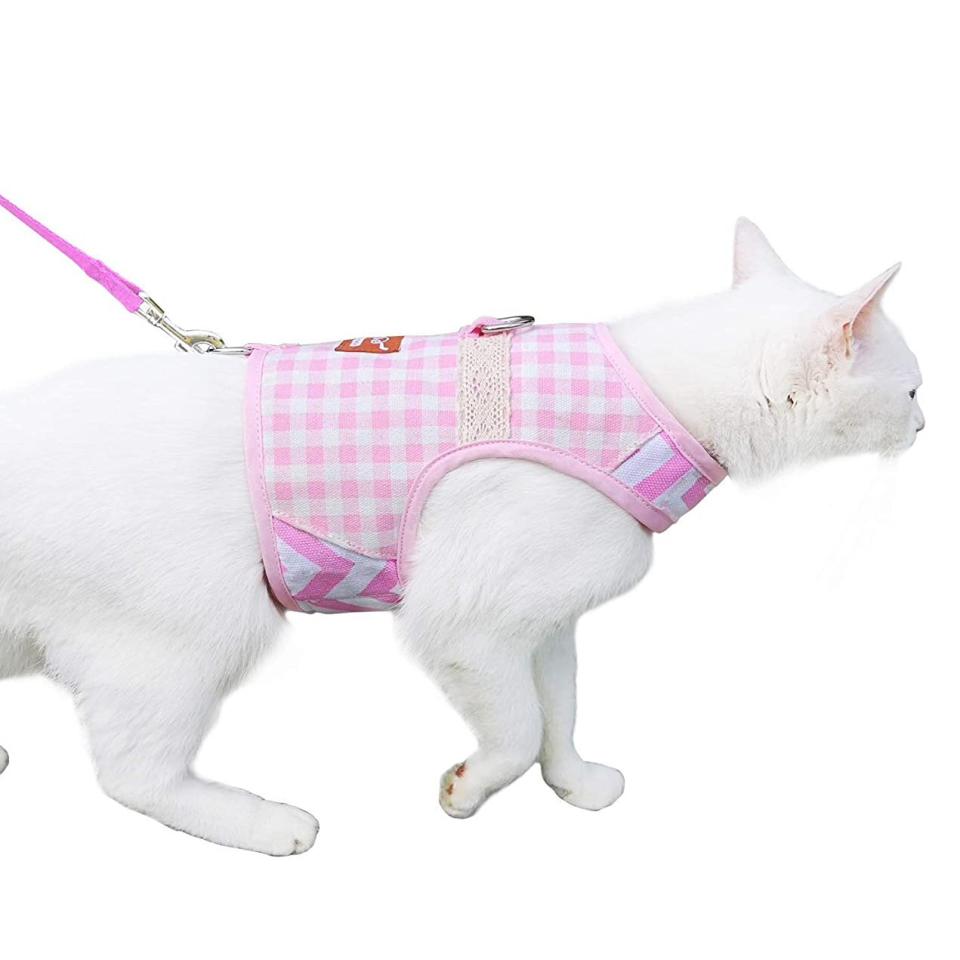 yizhi-miaow-cat-harness-and-leash-for-walking