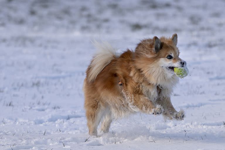 Nieve; tormenta; California; estados unidos; EE.UU.; Alemania; reino unido