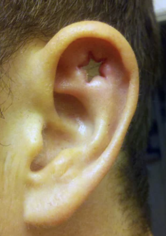a star hole-punched into someone's ear