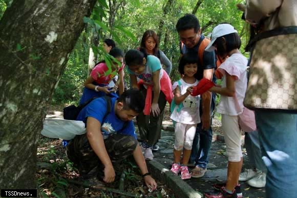 環教師引導學員從森林環境中尋找昆蟲。(南投林管處提供)