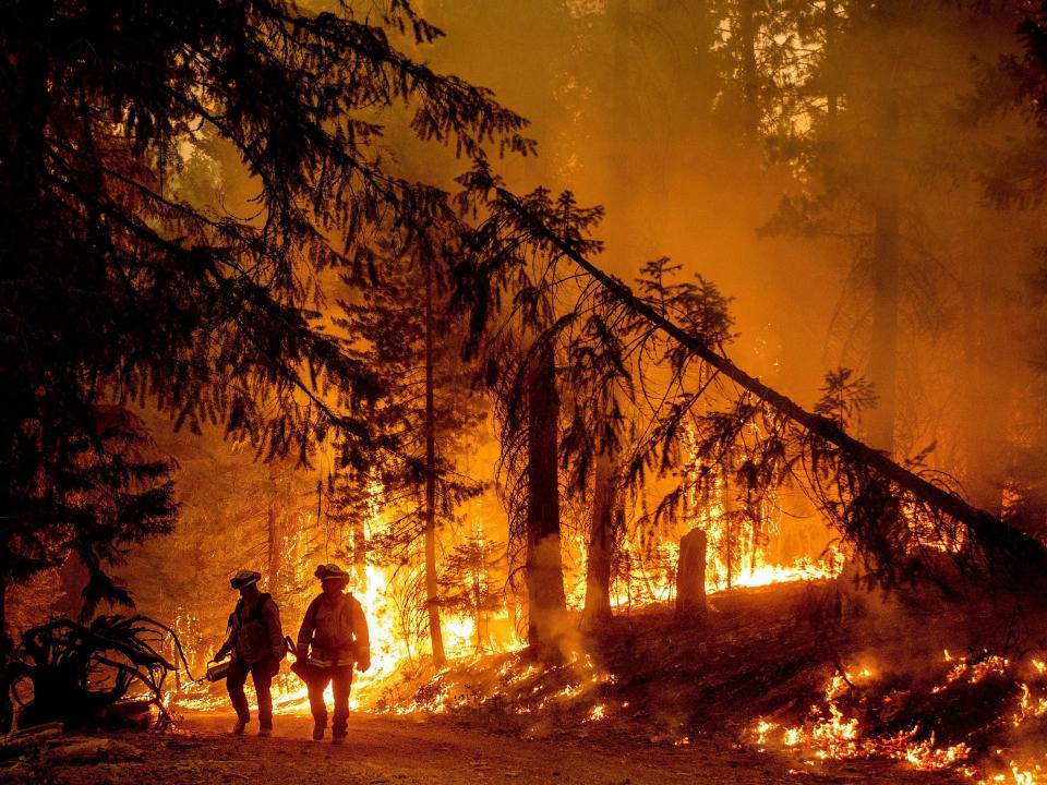 Two firefighters stand in front of a burning tree.