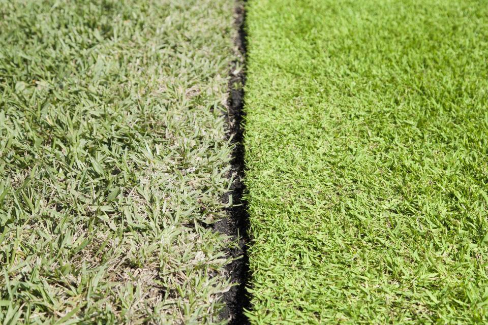 L’erba del vicino è sempre la più verde (Getty)