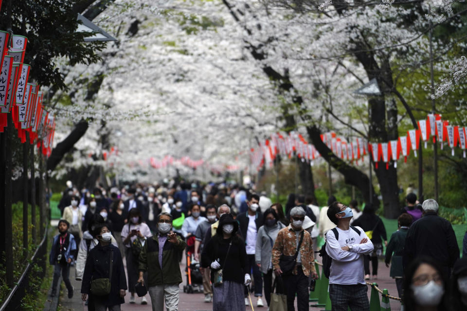 People wearing protective masks to help curb the spread of the coronavirus walk under cherry blossoms Friday, March 26, 2021, in Tokyo. The Japanese capital confirmed more than 370 new coronavirus cases on Friday. (AP Photo/Eugene Hoshiko)