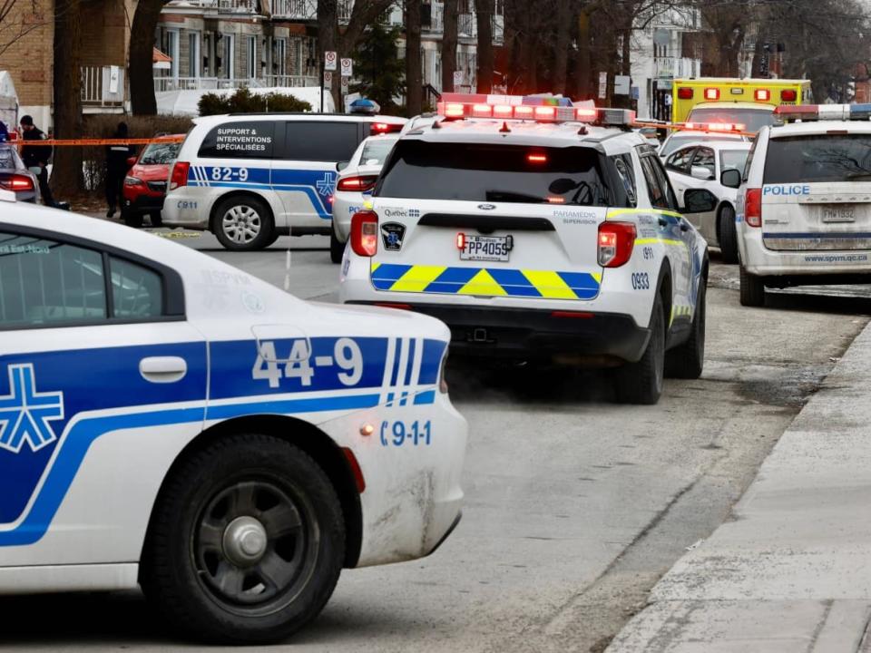 Arthur Galarneau, 19, was charged with fatally stabbing Mylène Gingras, 53, Francine Gingras-Boucher, 75, and Richard Galarneau, 53.  (Mathieu Wagner/Radio-Canada - image credit)