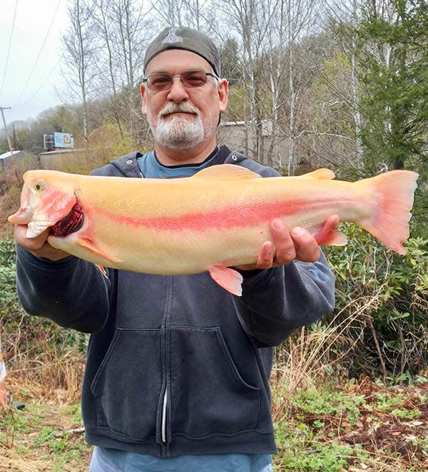 John Fotusky is a lifelong outdoorsman who love hunting and fishing. On Opening Day of trout season, he reeled in a total of 16 rainbows and browns. Last year, however, he hauled in this monster golden. The trophy fish has been professionally mounted and now hangs in a place of honor in Fotusky's home.