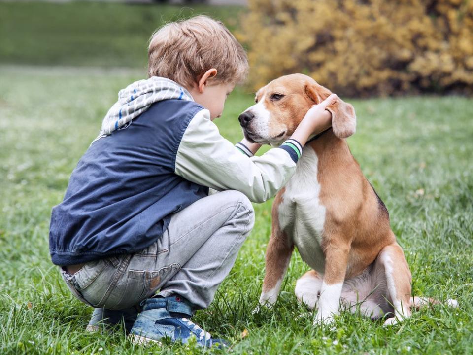 Ein Junge streichelt seinen Hund