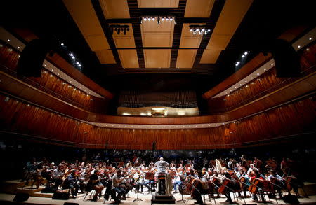 Conductor Pedro Ignacio Calderon (C) and musicians from Argentina's National Symphony Orchestra rehearse in the 'Blue Whale' auditorium in the Kirchner Cultural Center in Buenos Aires, Argentina, May 22, 2015. REUTERS/Marcos Brindicci
