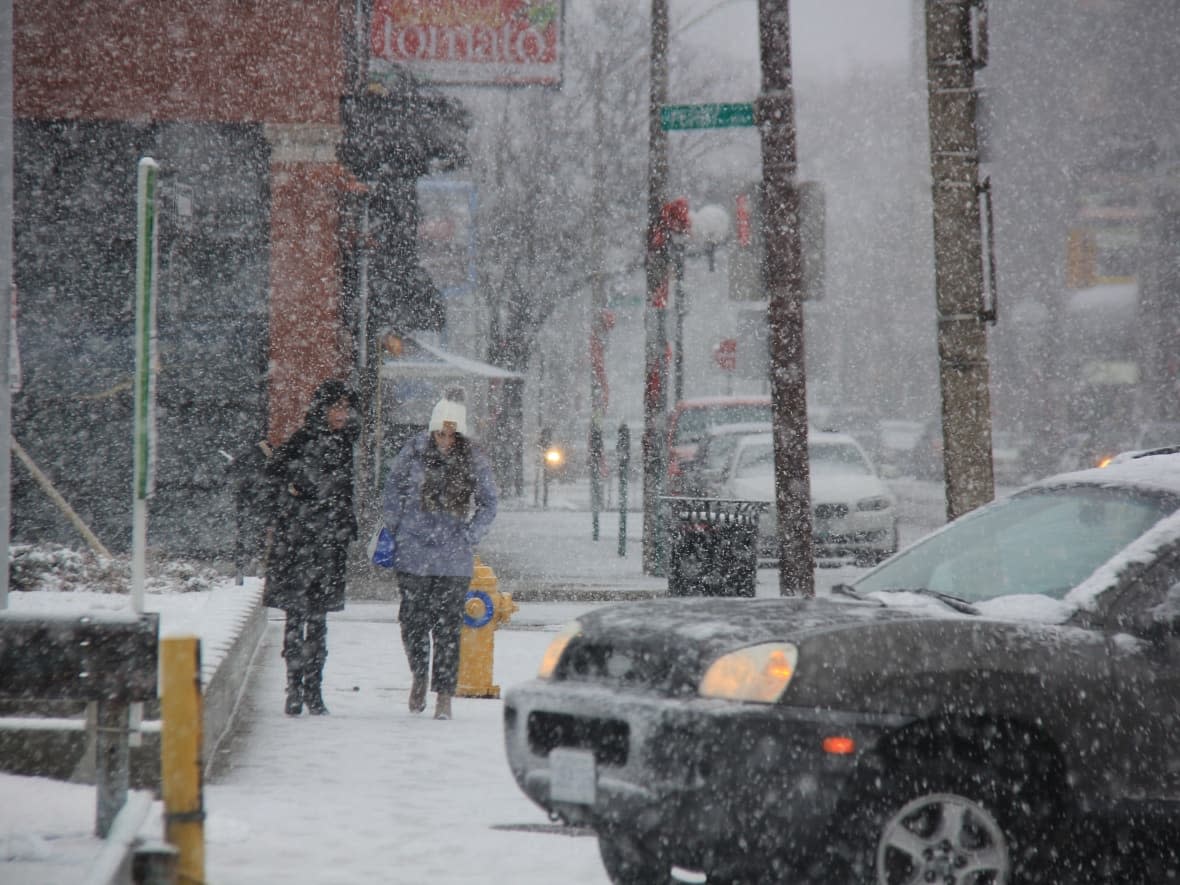 Up to 15 centimetres of snow hit Windsor-Essex on Wednesday. (Mike Evans/CBC - image credit)
