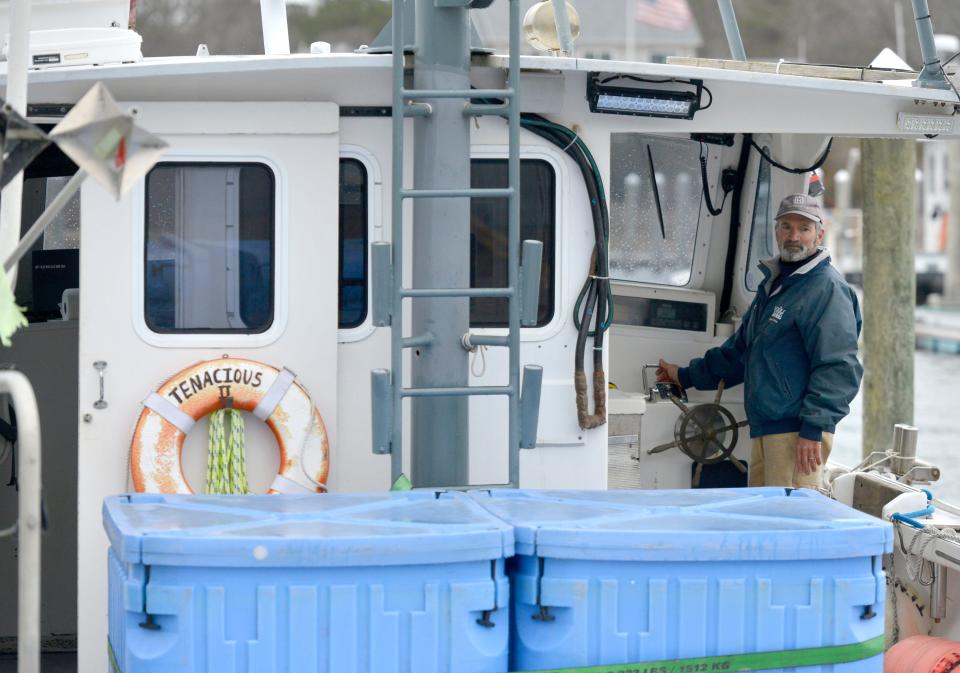 Captain Eric Hesse moves his fishing boat, Tenacious II, over to the offloading area at Sesuit Harbor in March 2023.  In 2023, he was among a number of Cape Cod fishermen employed in supporting Vineyard Wind's offshore wind farm construction south of the Islands. "Who knows how that fishery may be affected," he said recently of the wind farm. "It's a sticky thing and a lot of people are upset."