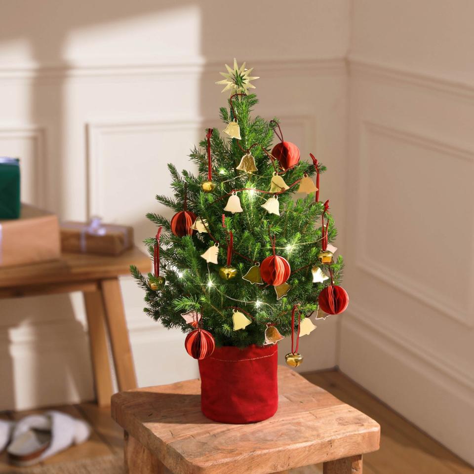 bloom wild mini christmas tree the jingle bell tree