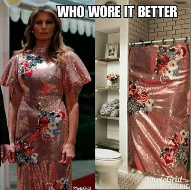 This meme shows a digitally altered photo of a shower curtain made to look like Melania's dress. Photo: Instagram
