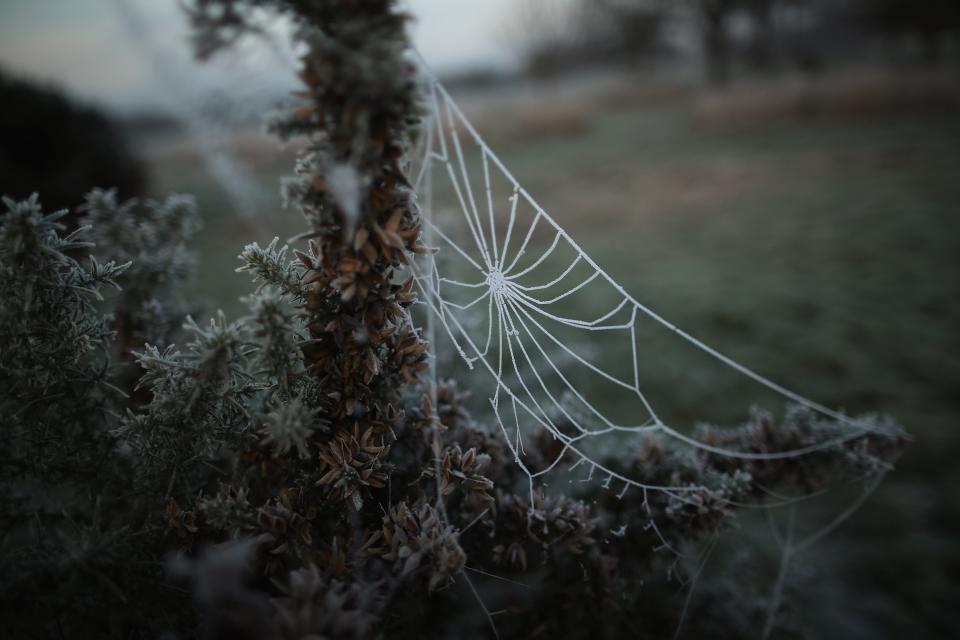 Freezing Fog And Frost Hit The UK