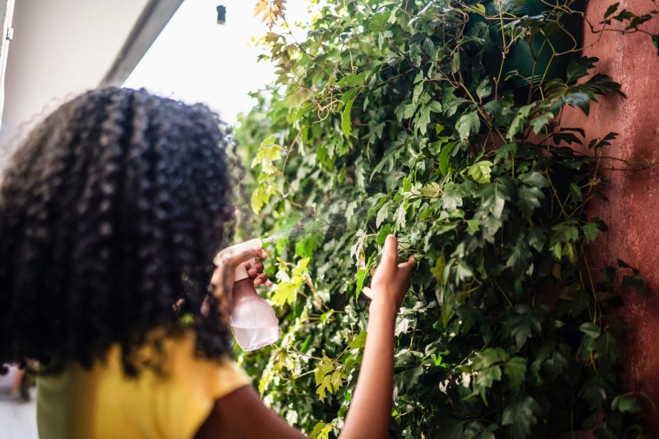 woman watering vertical garden