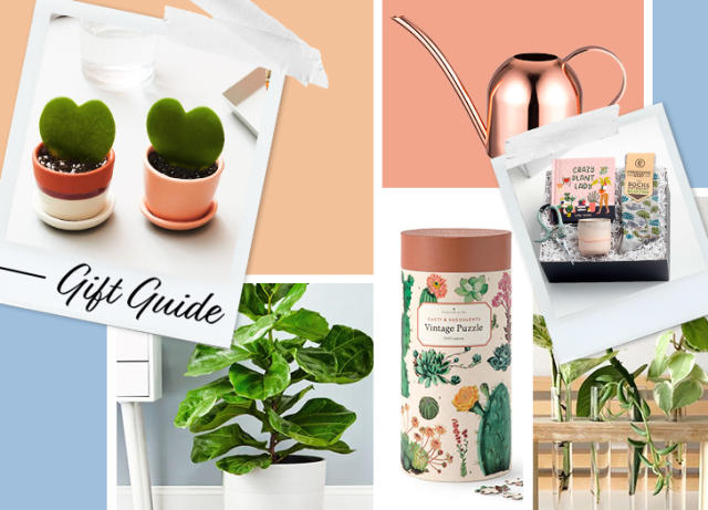 The 10 Best Sage Green Home Items to Shop in 2023 - PureWow