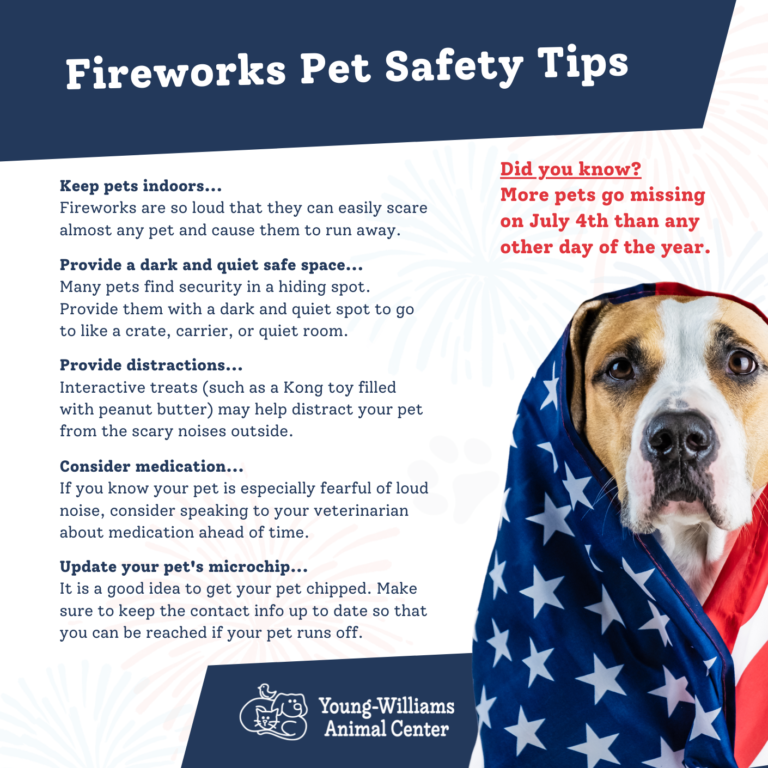 Pet safety tips for the Fourth of July