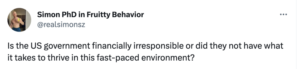 "Is the US government financially irresponsible or did they not have what it takes to thrive in this fast-paced environment?"