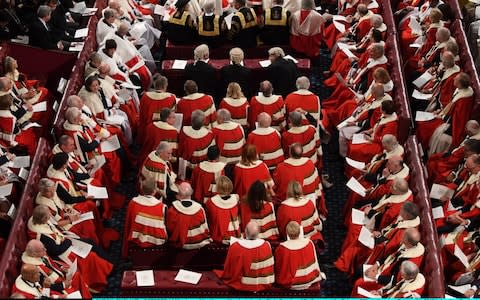 Members of the House of Lords during the State Opening of Parliament earlier this year - Credit: Getty Images Europe