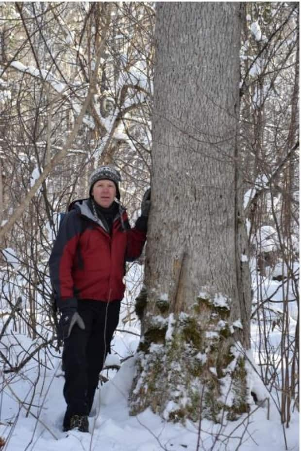 Karl Branch stands next to the large black ash tree found near Portage Lakes