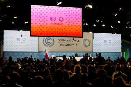 Participants take part in plenary session during COP24 UN Climate Change Conference 2018 in Katowice, Poland December 13, 2018. REUTERS/Kacper Pempel