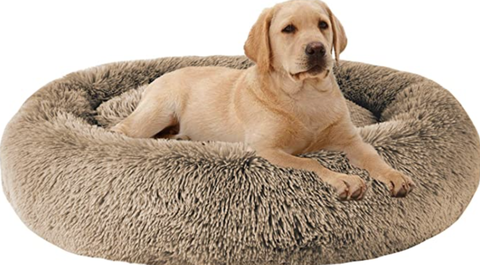 MFOX Calming Dog Bed (Photo via Amazon)