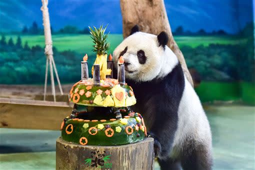 4歲生日趴。（圖／台北市立動物園提供）