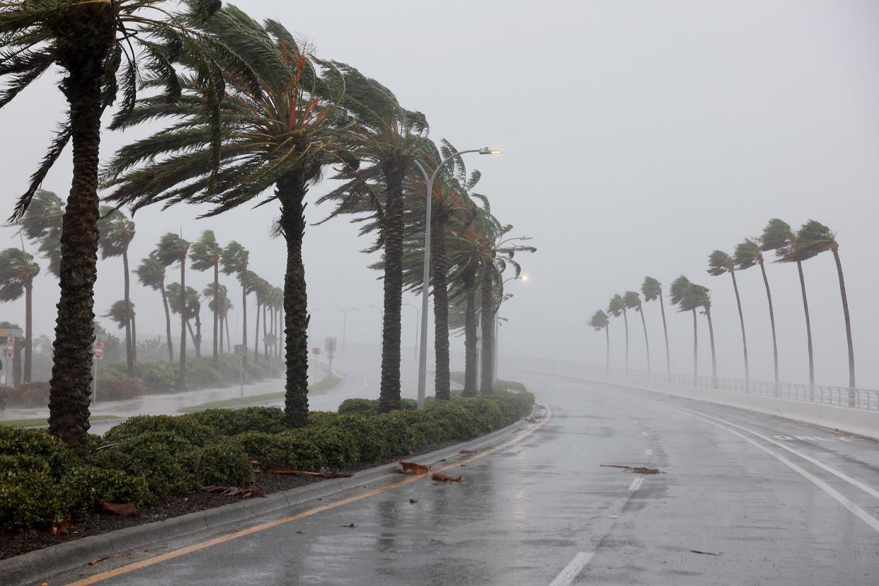 Palm trees blow in the wind from Hurricane Ian on September 28, 2022 in Sarasota, Florida. Ian is hitting the area as a likely Category 4 hurricane.
