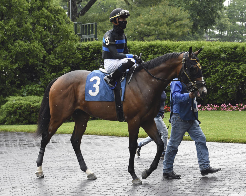 In this photo provided by the New York Racing Association, Fauci, jockey Tyler Gaffalione up, is led from the paddock to the track for a horse race at Belmont Park in Elmont, N.Y., Wednesday, June 3, 2020. The racehorse named for Dr. Anthony Fauci finished second in his debut. The 2-year-old colt was beaten by a horse named Prisoner in the third race. (Adam Coglianese/NYRA via AP)