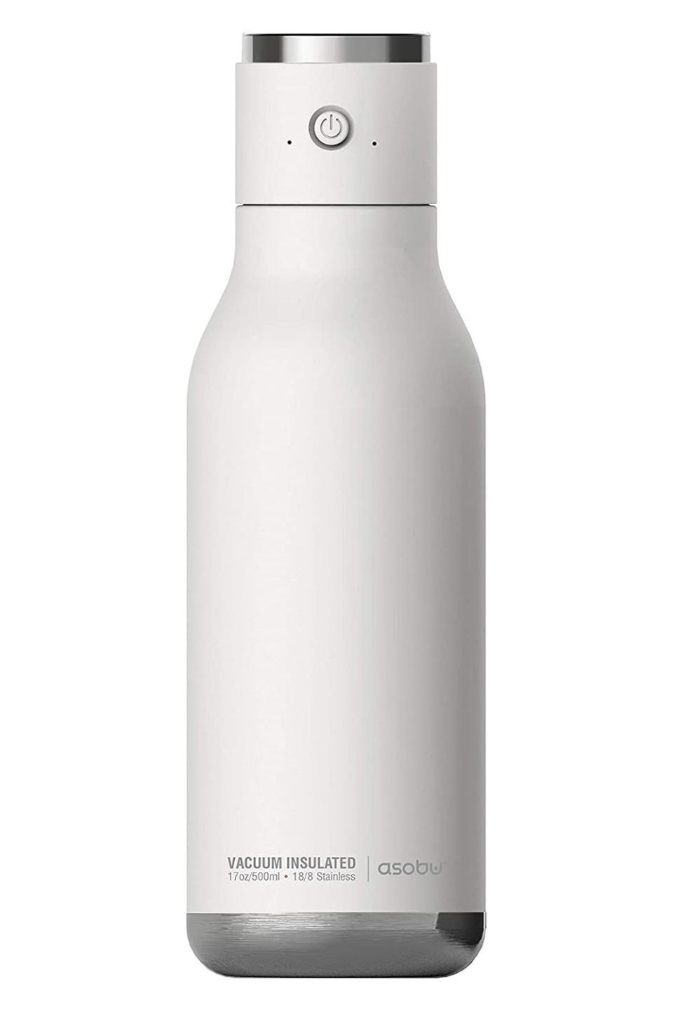 24) Wireless Stainless Steel Water Bottle with a Speaker Lid