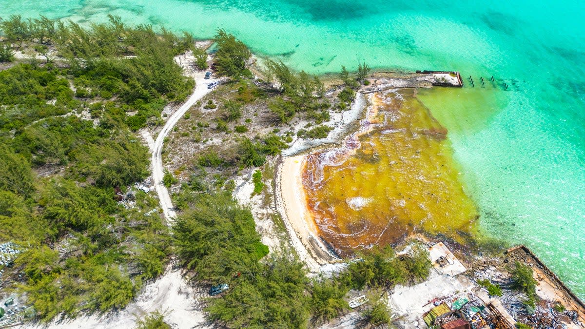 Some 30,000 gallons of fuel spilled by a vessel named The Arabian is caught on the shore of Great Exuma near Old Navy Base in George Town, Bahamas on July 20, 2022 (REUTERS/Reno Curling)