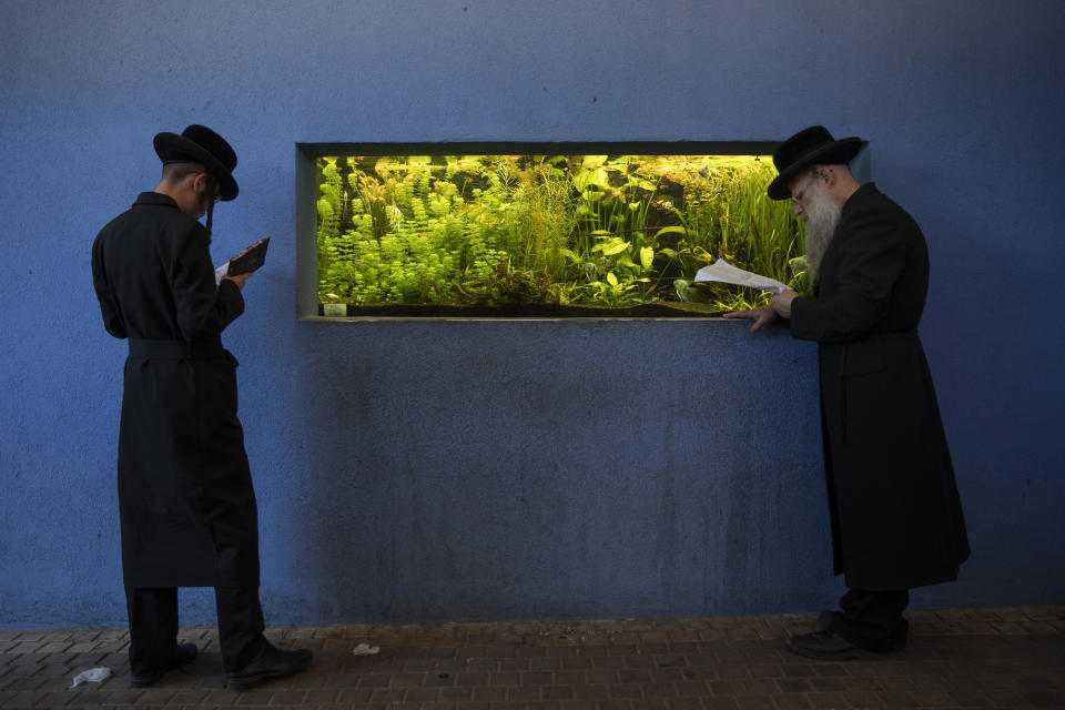 Ultra-Orthodox Jews pray during the Tashlich ceremony, next to an aquarium at a zoo in the ultra-Orthodox Israeli town of Bnei Brak, Tuesday, Sept. 14, 2021. Tashlich, which means 'to cast away' in Hebrew, is the practice by which Jews go to a large flowing body of water and symbolically 'throw away' their sins by throwing a piece of bread, or similar food, into the water before the Jewish holiday of Yom Kippur, the holiest day in the Jewish year which starts at sundown Wednesday. (AP Photo/Oded Balilty)