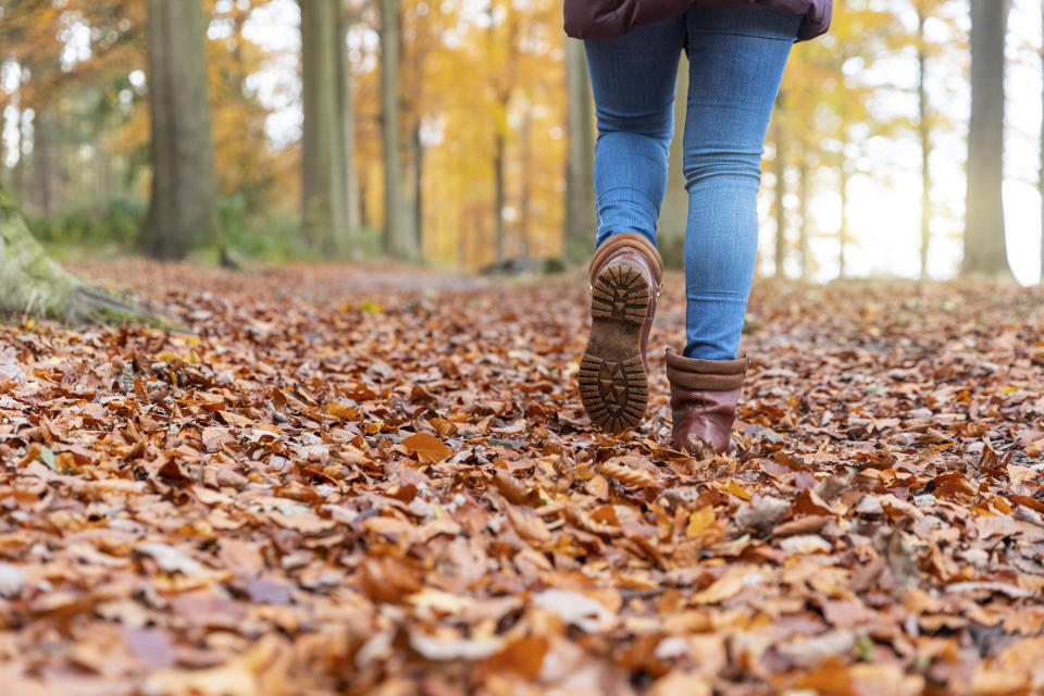 Spazierengehen ist Entspannung pur – vor allem im Herbst und ohne Smartphone. (Symbolbild: Getty Images)