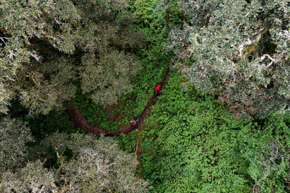 <p>Photo: Bruno Long</p><p> Javier Salazar and Geoff Gulevich rip through a beautiful forest in Oaxaca.</p>