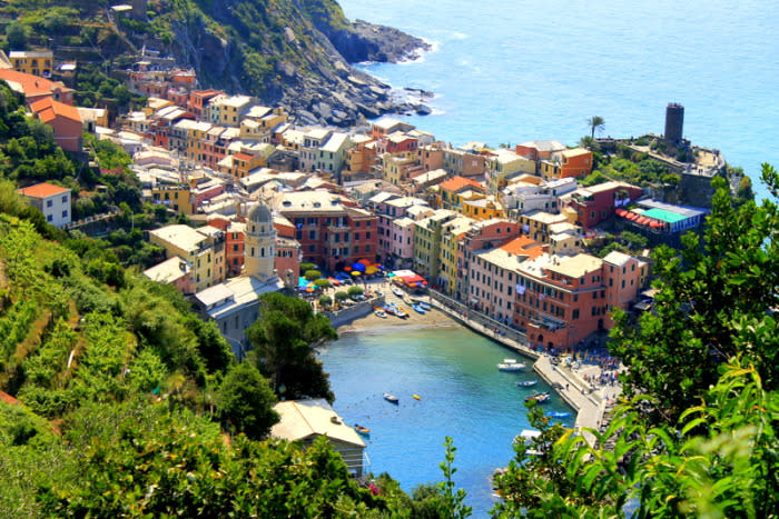 Vernazza from on high