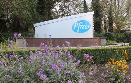 A sign is seen at the Pfizer manufacturing plant in Newbridge, County Kildare, Ireland, November 12, 2015. Picture taken November 12, 2015. REUTERS/Tom Bergin