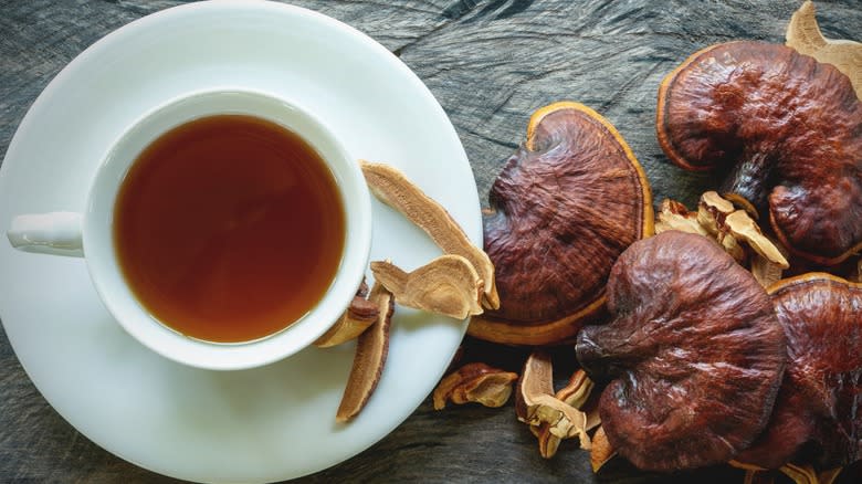 Top-down view of reishi tea next to fresh and dried reishi mushrooms