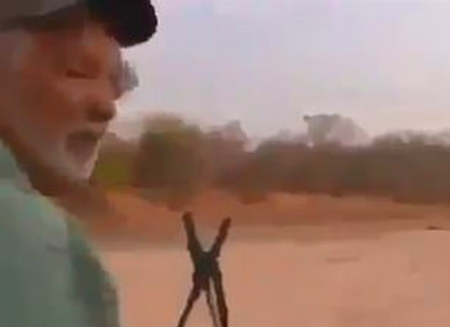 <em>Video footage shows Guy Gorney sneaking up on the defenceless animal (Twitter/@Protect_Wildlife)</em>