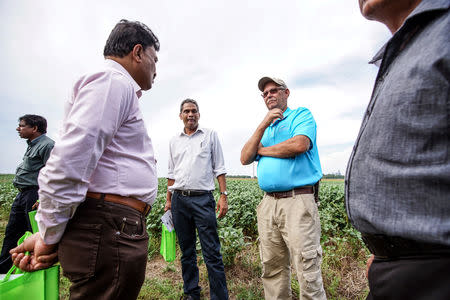 Members of Illinois Soybean Growers Association and a trade group of grain buyers from Sri Lanka take a tour at a soybean field at Pioneer-DuPont Seed facility in Addieville, Illinois U.S., September 19, 2018. Picture taken September 19, 2018. REUTERS/Lawrence Bryant