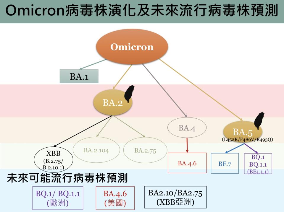 資料來源：新冠肺炎科學防疫園地